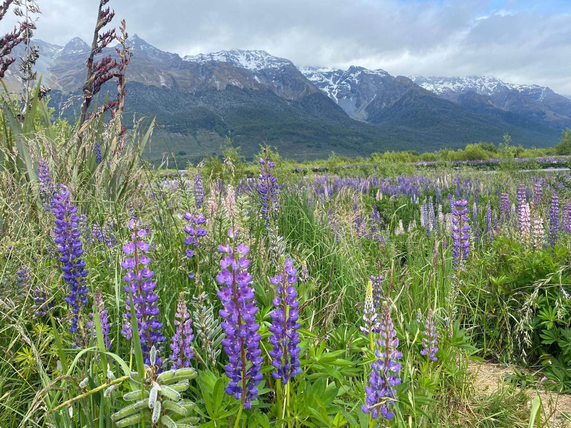 Retreat * Glenorchy